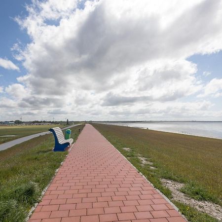 Direkt Am Deich - Ferienwohnung Amrum Im Gaestehaus Am Badedeich Dagebüll Εξωτερικό φωτογραφία